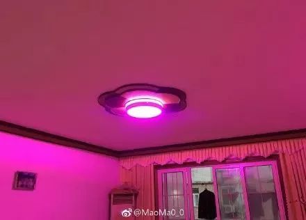 太刺激了!花了20w装修新房,结果被爸妈装成了公共厕所?