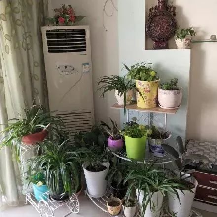 太刺激了!花了20w装修新房,结果被爸妈装成了公共厕所?