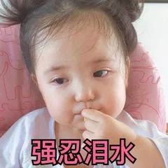 大连金三角海参批发市场海参价格,印尼海参好还是大连海参好