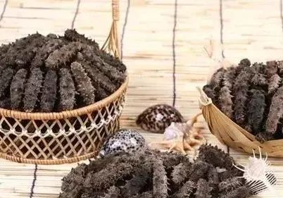 大连金三角海参批发市场海参价格,印尼海参好还是大连海参好