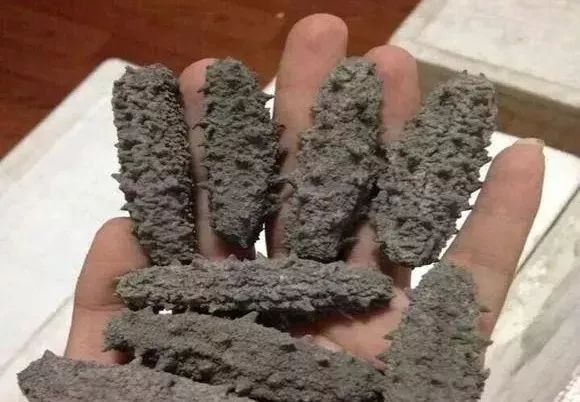 大连金三角海参批发市场海参价格,印尼海参好还是大连海参好