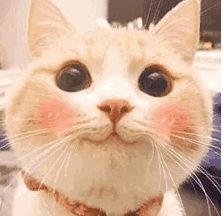 昌平老旧小区改造通报,昌平老旧小区