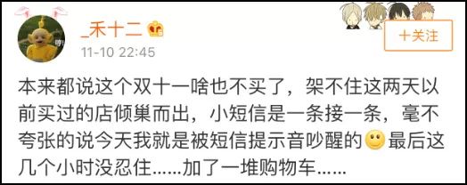 双十一排名最高的是哪一个,双十一排行榜前十名最好的品牌