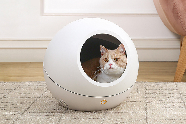 女生篇：这些经典款、明星款买了不会出错