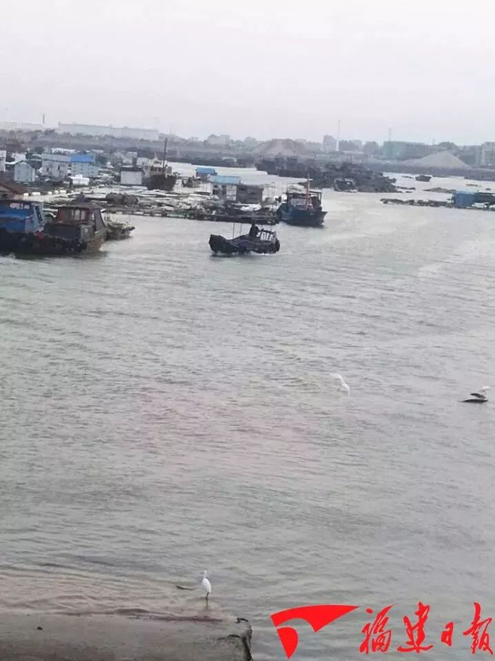 碳九泄漏事件后续,碳九泄漏事件视频