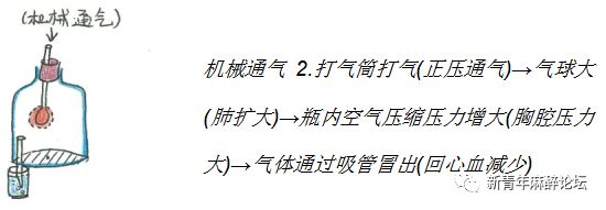 呼吸科普类视频制作,科普人体呼吸机制