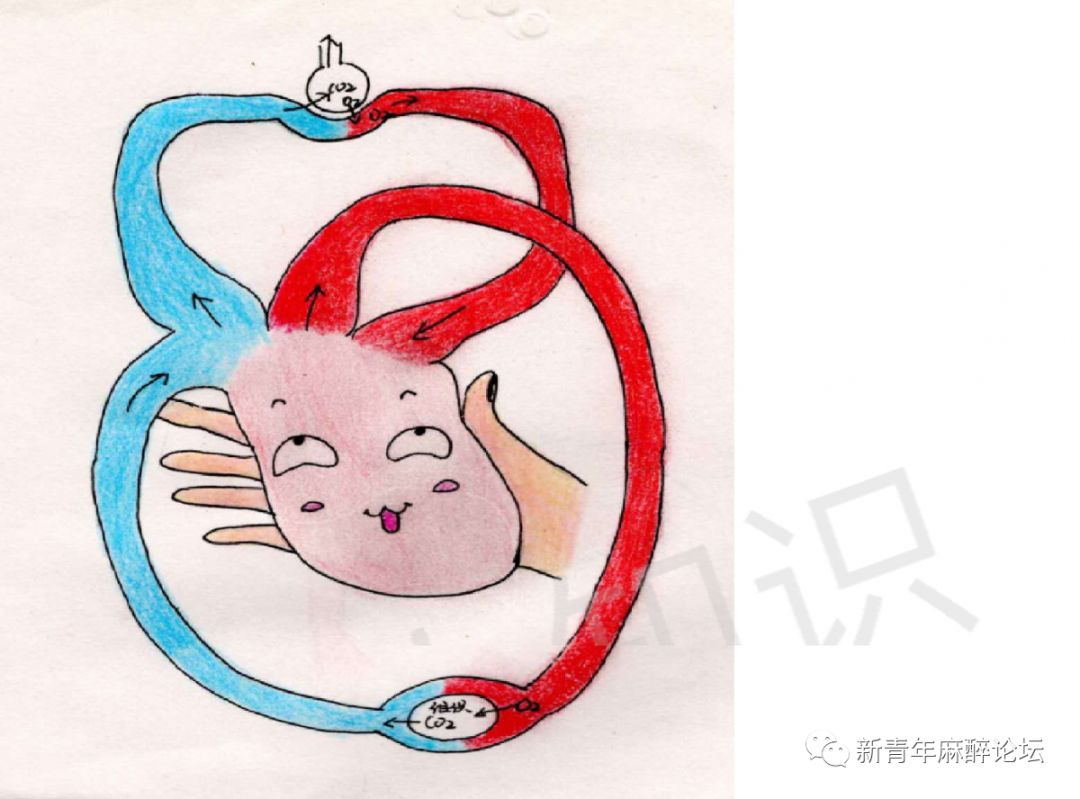 呼吸科普类视频制作,科普人体呼吸机制