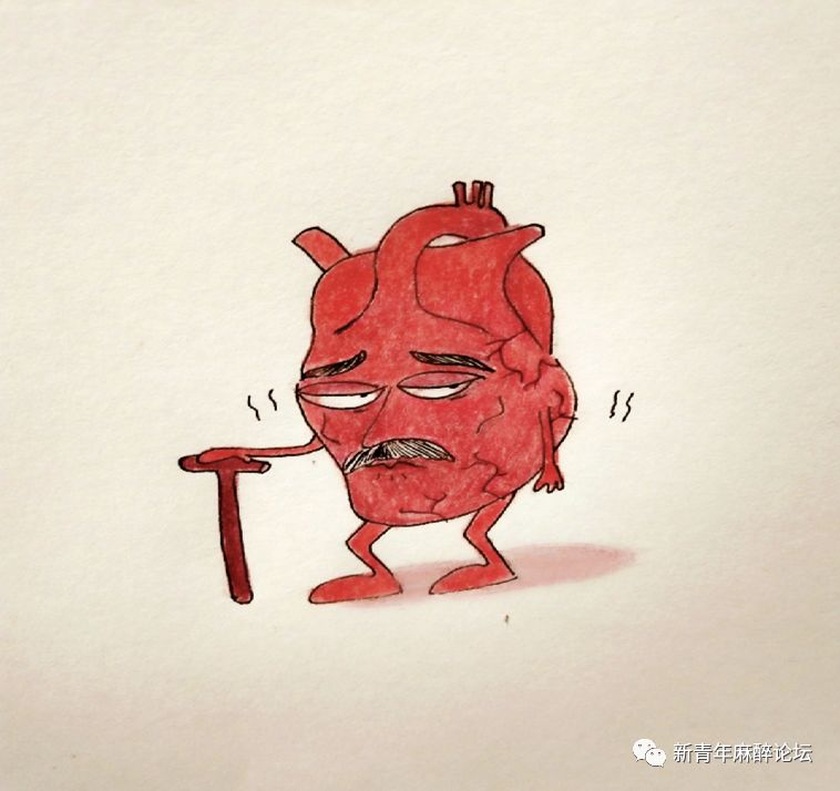 呼吸科普类视频制作,科普人体呼吸机制