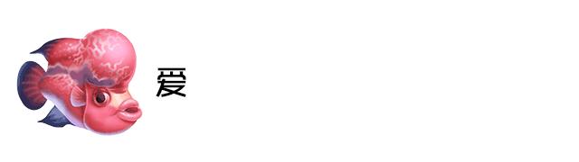 硝化细菌日常维护多久添加一次,硝化细菌添加在水里还是在滤材里