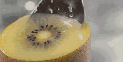 奇异果和猕猴桃是同一种水果吗,猕猴桃奇异果和菠萝凤梨的区别