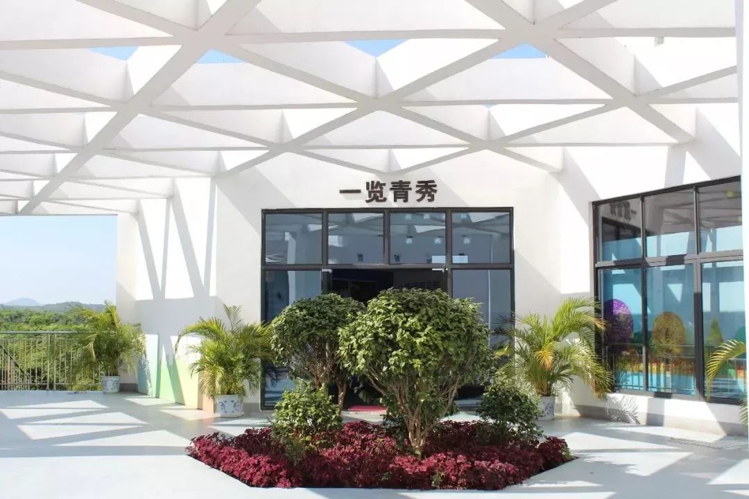 南宁哪里有摘火龙果的地方,南宁周边哪里有火龙果摘