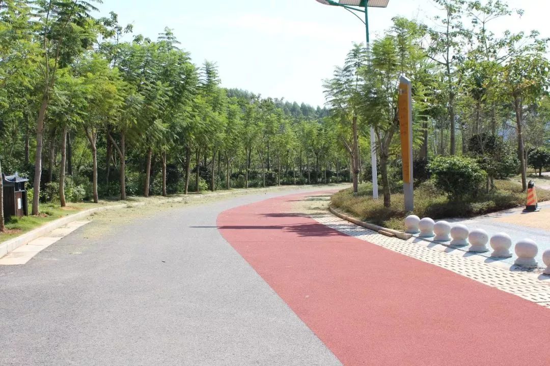 南宁哪里有摘火龙果的地方,南宁周边哪里有火龙果摘