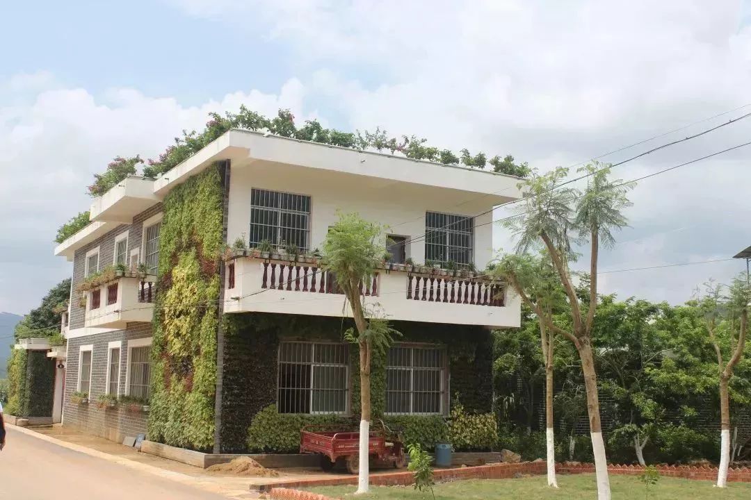 南宁哪里有摘火龙果的地方,南宁周边哪里有火龙果摘