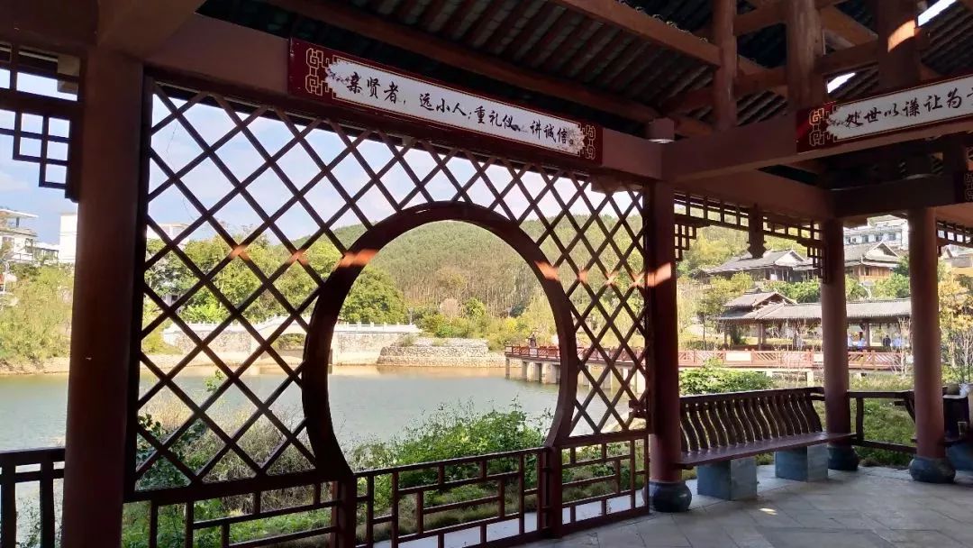 南宁哪里有摘火龙果的地方,南宁周边哪里有火龙果摘