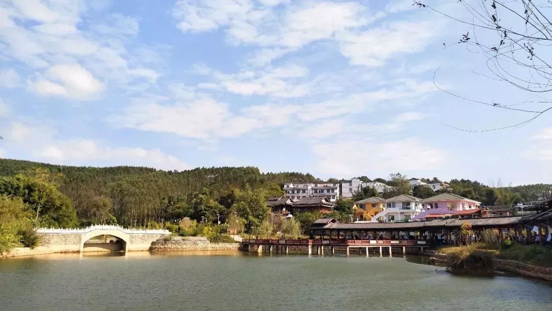 南宁哪里有摘火龙果的地方,南宁周边哪里有火龙果摘