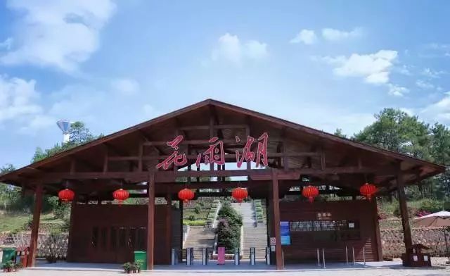 南宁哪里有摘火龙果的地方,南宁周边哪里有火龙果摘