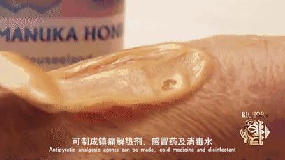 高圆圆颜值如何变化,高圆圆长发短发对比