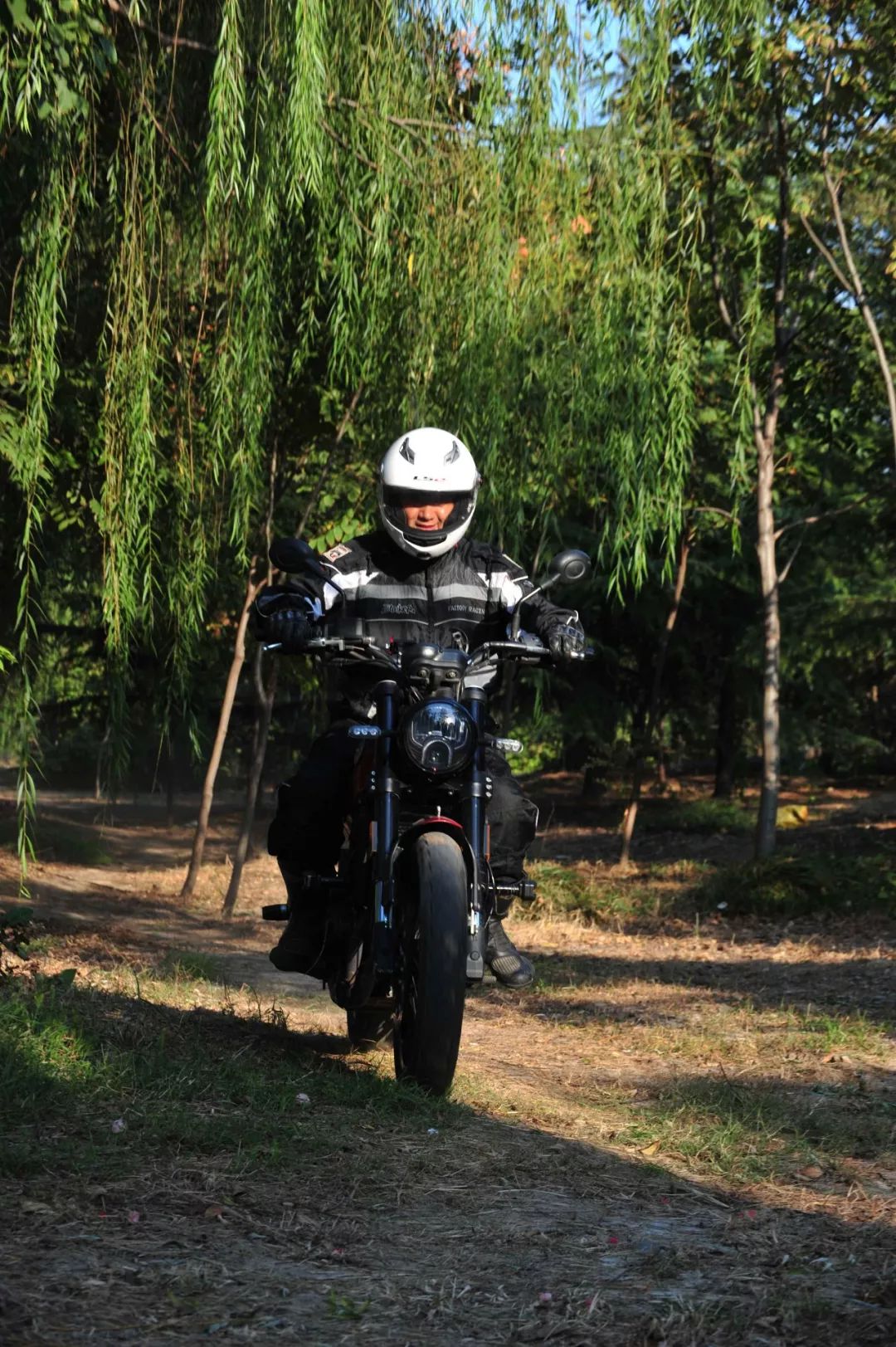 贝纳利幼狮leoncino500底价,幼狮500leoncinotrail