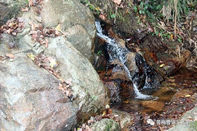 黄梅记忆老相片,黄梅记忆抖音号