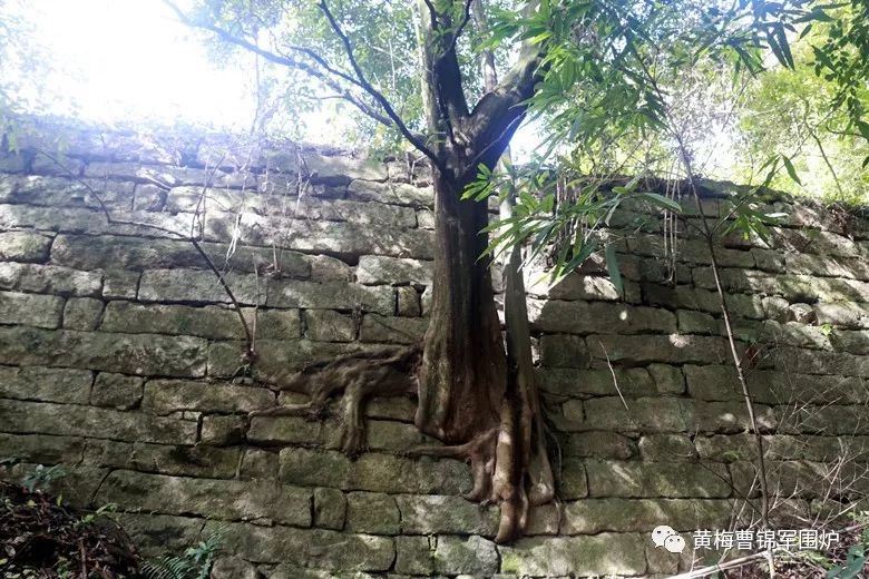 黄梅记忆老相片,黄梅记忆抖音号