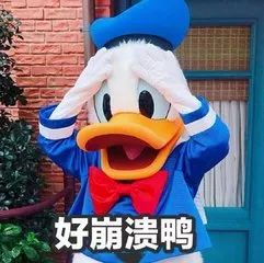 上海迪士尼女生跟男朋友吵架原因,上海迪士尼女童事件全过程