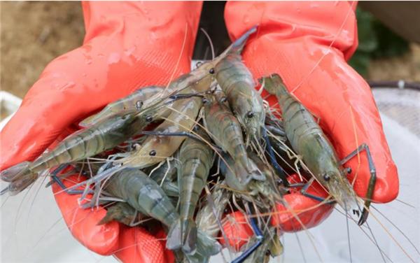 滨州外办,滨州市外办