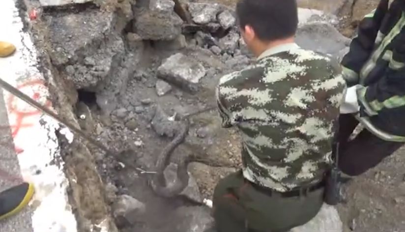 挖掘机突然挖到了地道,挖掘机挖到东西吓得挖掘机颤抖