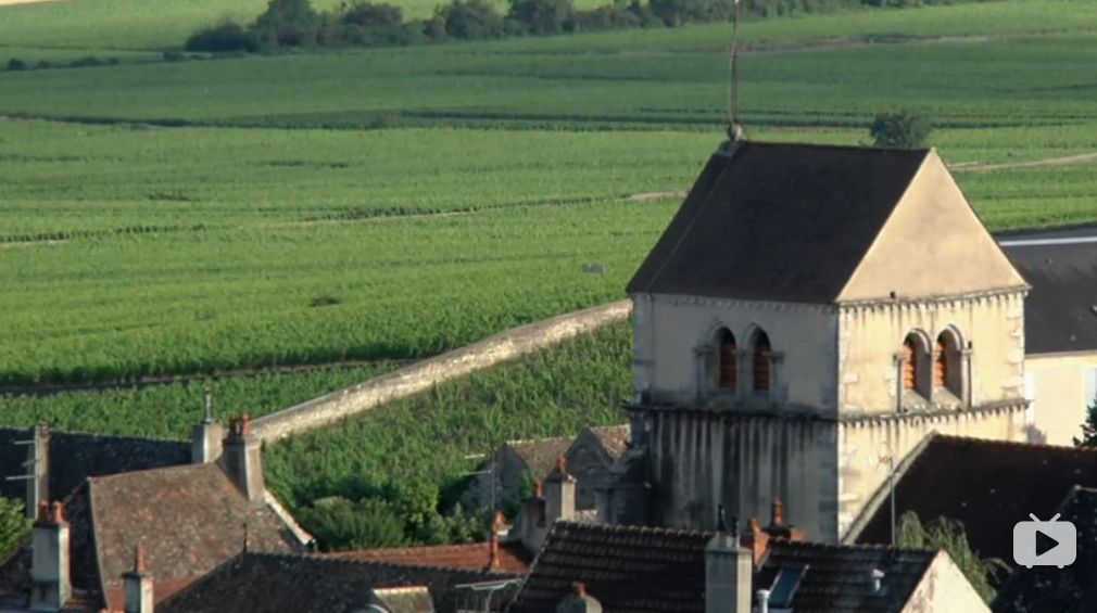 想了解葡萄酒看什么书,聊聊最基础的葡萄酒常识