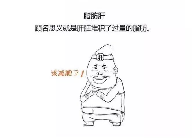 控制脂肪肝，首选营养治疗