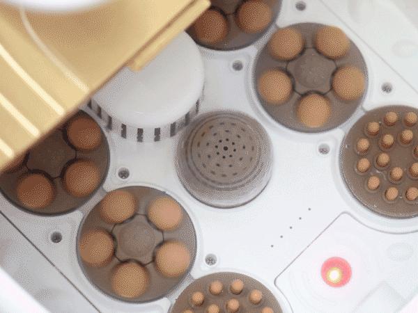 一条精选｜地道的四川香肠，暖风按摩足浴盆