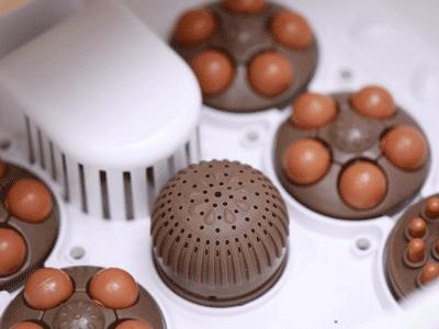 一条精选｜地道的四川香肠，暖风按摩足浴盆