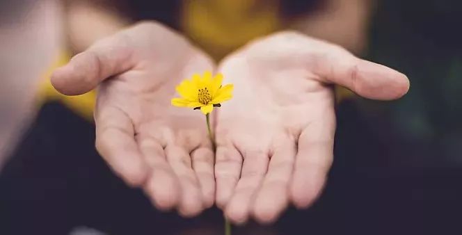 父亲的病我的思考,父亲的死因另有隐情