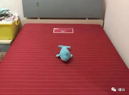 全新Gucci包、电磁炉……这期跳蚤市场有点不一样!