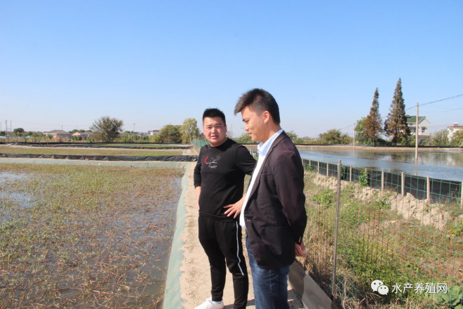 育蟹苗一年赚多少,蟹苗培育基地优惠