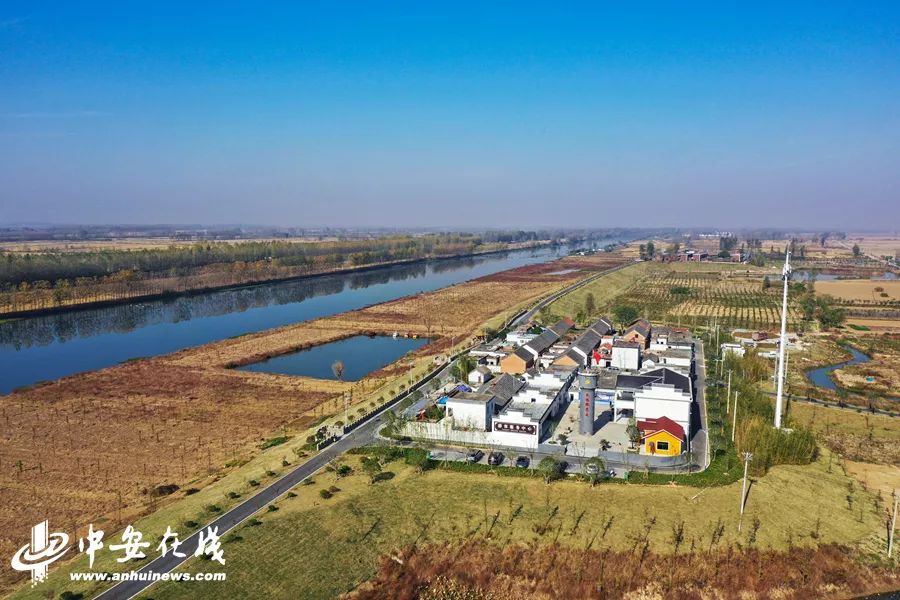 颍上庄台变身记:“穷洼地”逆袭成为“绿富美”