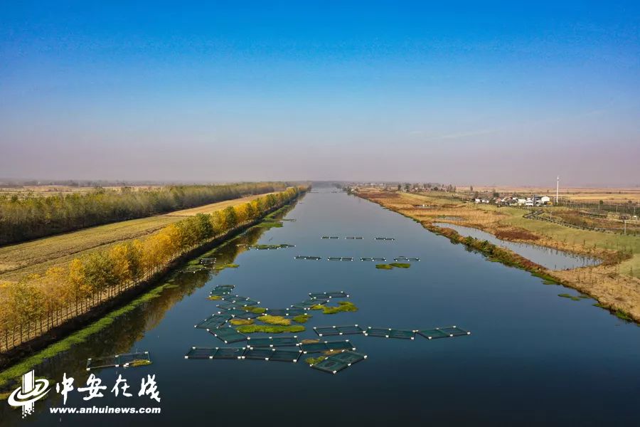 颍上庄台变身记:“穷洼地”逆袭成为“绿富美”