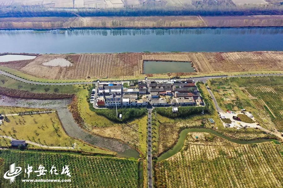 颍上庄台变身记:“穷洼地”逆袭成为“绿富美”