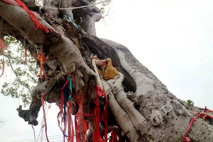 厦门翔安海洋馆门票价格,翔安澳头海洋馆