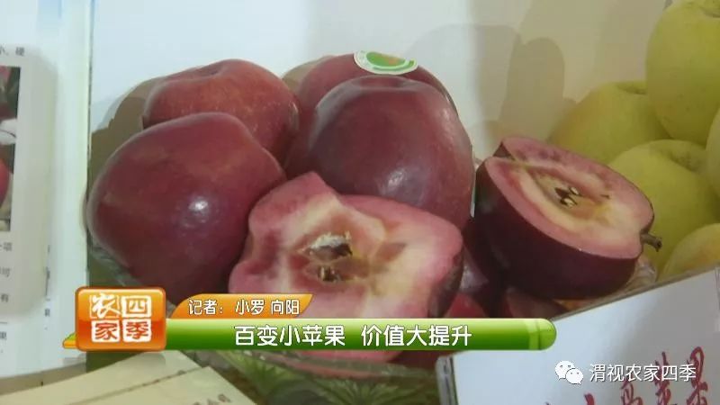 小罗带你逛深圳,小罗带你逛宾川