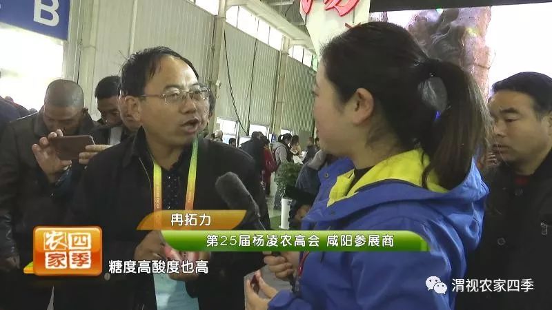 小罗带你逛深圳,小罗带你逛宾川