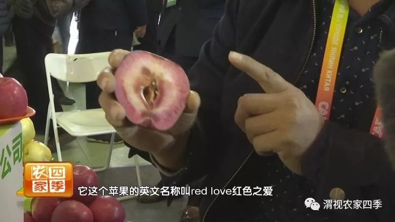 小罗带你逛深圳,小罗带你逛宾川