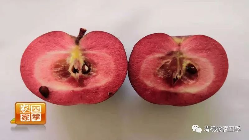 小罗带你逛深圳,小罗带你逛宾川