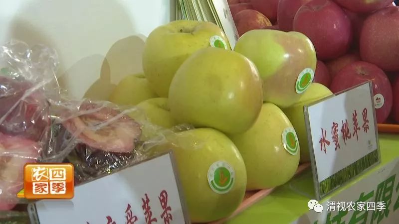 小罗带你逛深圳,小罗带你逛宾川