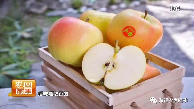 小罗带你逛深圳,小罗带你逛宾川