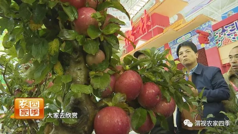 小罗带你逛深圳,小罗带你逛宾川