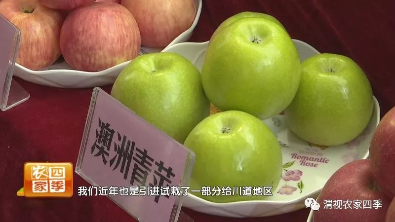 小罗带你逛深圳,小罗带你逛宾川