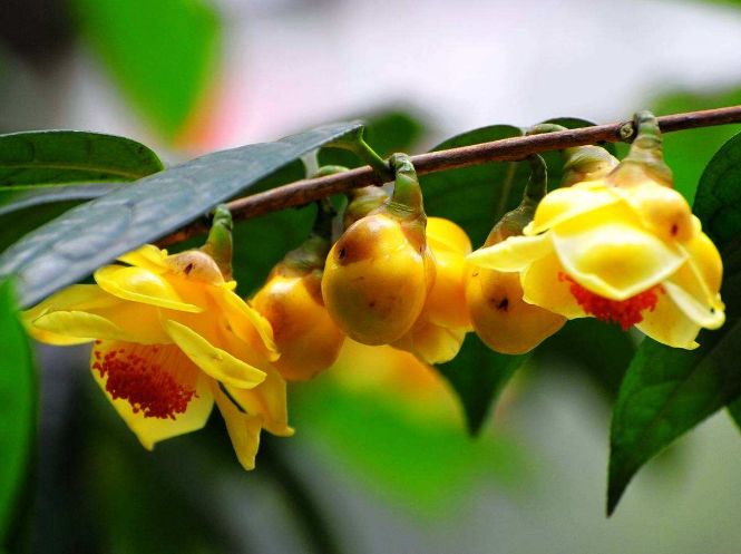 防城港酒店宾馆推荐,防城港酒店推荐亲子