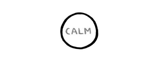 经历过双十一之后,双十一经历