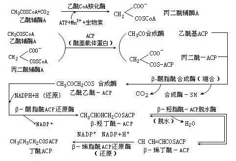 2022年医学生考研难度排名,医学生对口升学语数英的难度