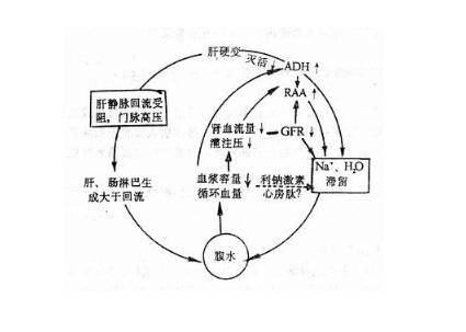 2022年医学生考研难度排名,医学生对口升学语数英的难度